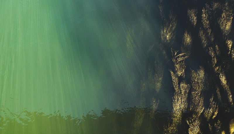 Underwater Habitat